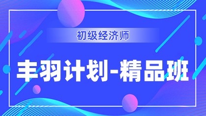 17初级经济师-丰羽计划-精品班.jpg